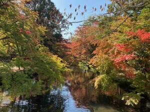 短い秋〜湯布院の紅葉